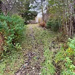 Fjordview Retreat בית נופש Hamre (Osteroy)
